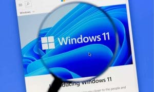 2128 cach tat lich su tim kiem windows 11